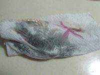 鲫鱼萝卜汤的家常做法(鲫鱼萝卜汤做法大全家常)