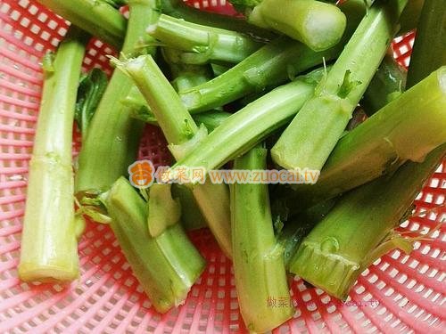 xo酱玉米粒炒菜心杆杆的做法(农家玉米酱做法)