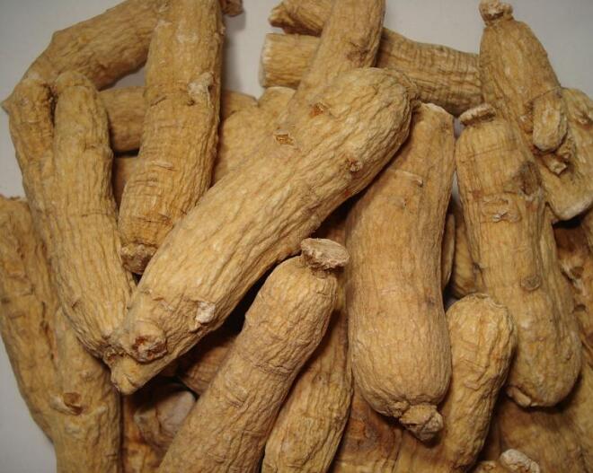1岁多小孩能吃西洋参吗，西洋参的服用方法有那些