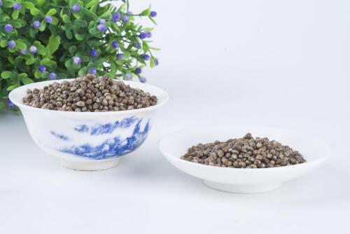 火麻仁的功效与作用及食用方法