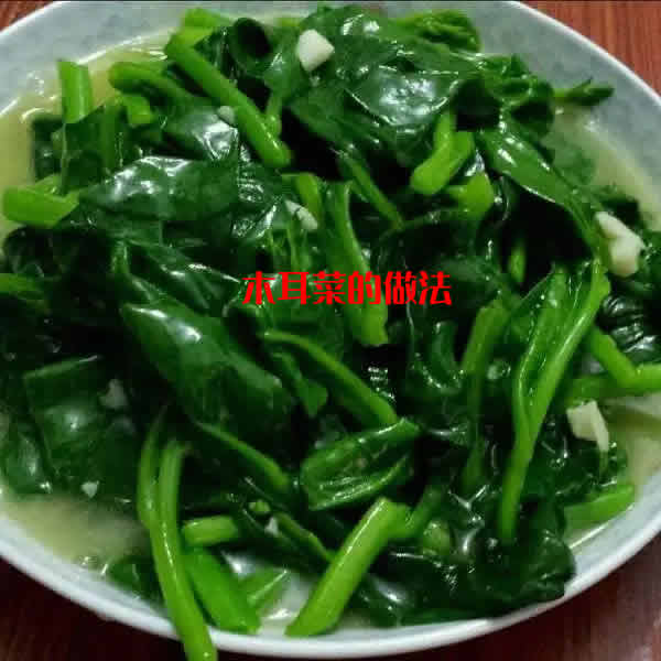 美食博主分享木耳菜的做法之蒜蓉木耳菜
