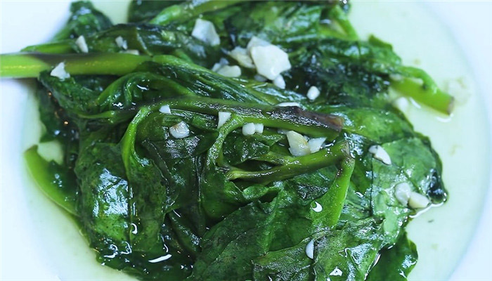 美食博主分享木耳菜的做法之蒜蓉木耳菜
