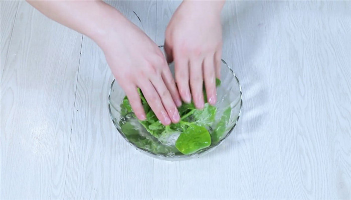 美食博主分享木耳菜的做法之蒜蓉木耳菜