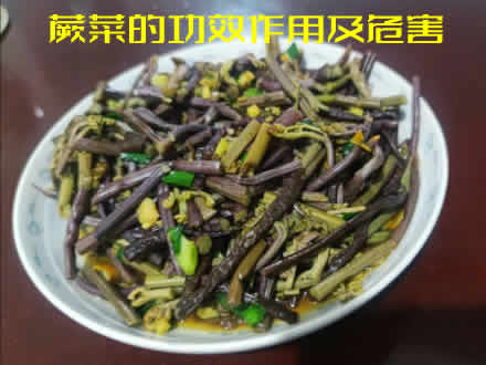 详解蕨菜的功效作用及危害以及蕨菜怎么做好吃