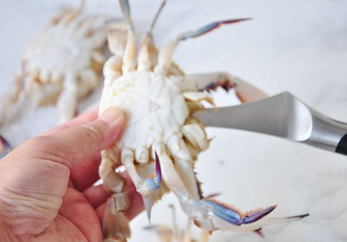 原汁原味清蒸梭子蟹的制作流程分享给大家