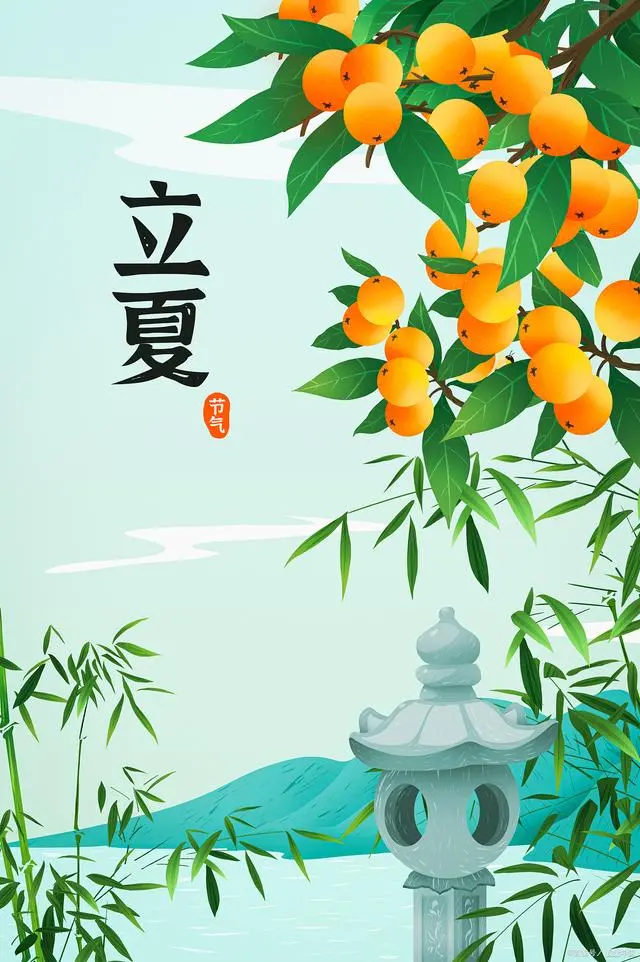 2024年立夏是什么适合_2024年立夏时节的温情故事