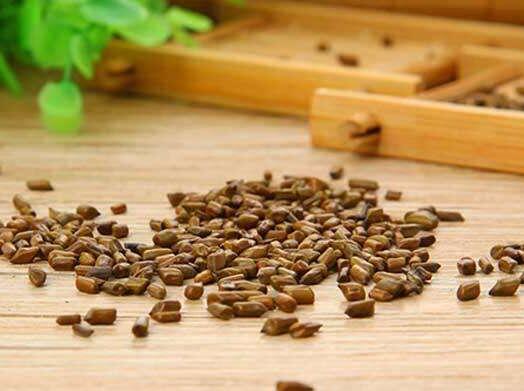 决明子的作用与功效，决明子的炮制工艺方法