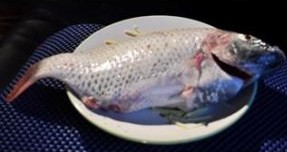 大厨不外传的清蒸鲫鱼做法，鱼肉细嫩鲜美，味道特别好