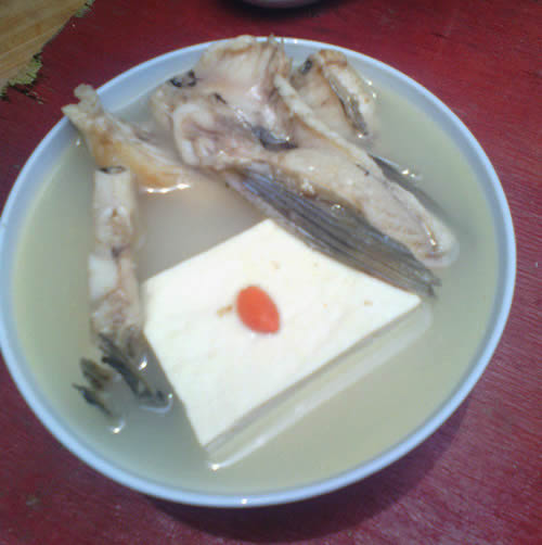 鲢鱼豆腐汤不仅味道鲜美，而且具有滋补身体、养颜美容的功效
