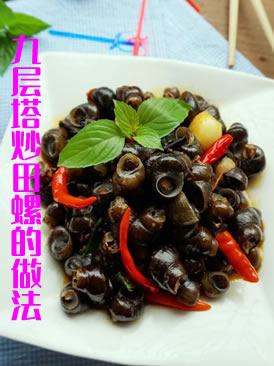 九层塔炒田螺的做法，绝对会勾起你对田螺喜爱