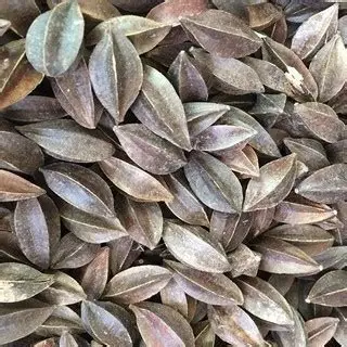 使君子蒸肉的方法_色味美俱全味道十分赞
