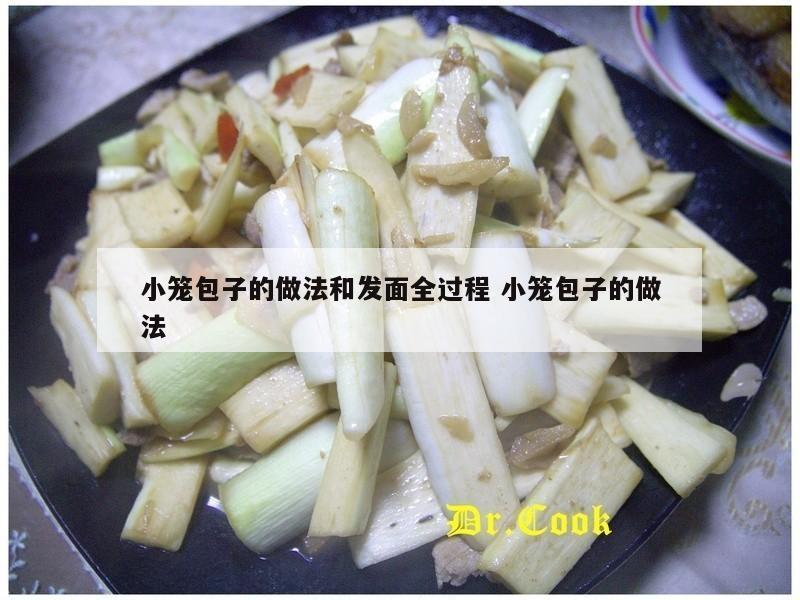 小笼包子的做法和发面全过程 小笼包子的做法