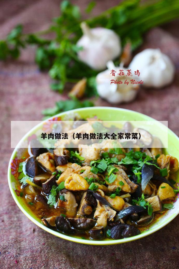  羊肉做法（羊肉做法大全家常菜）
