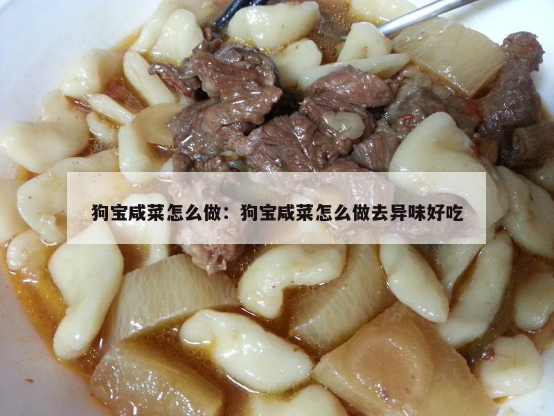 狗宝咸菜怎么做：狗宝咸菜怎么做去异味好吃