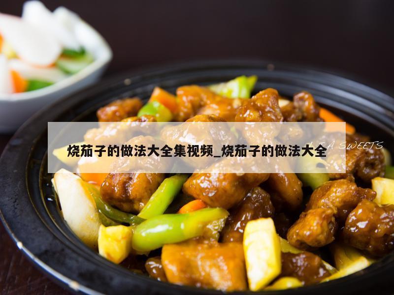 烧茄子的做法大全集视频_烧茄子的做法大全