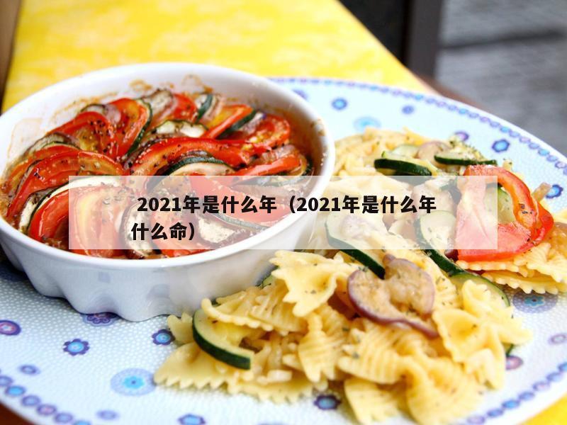  2021年是什么年（2021年是什么年什么命）