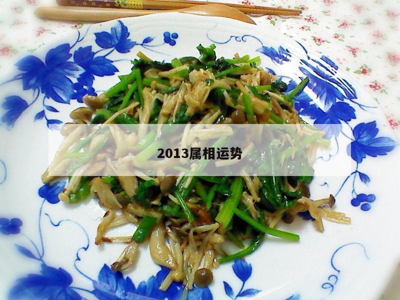 2013属相运势