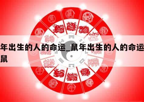 鼠年出生的人的命运_鼠年出生的人的命运年属鼠