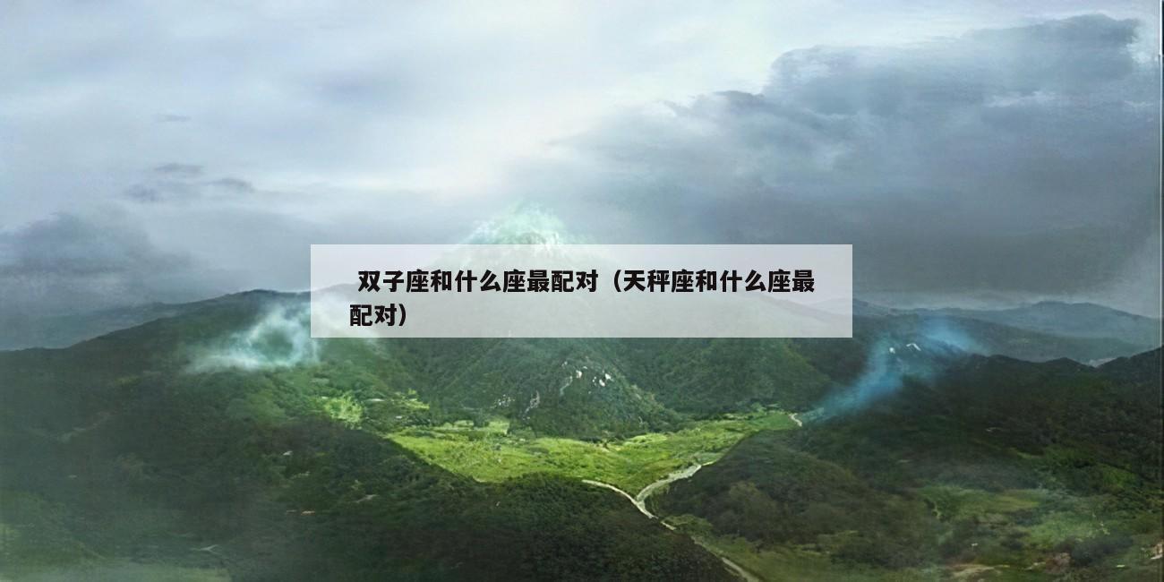  双子座和什么座最配对（天秤座和什么座最配对）