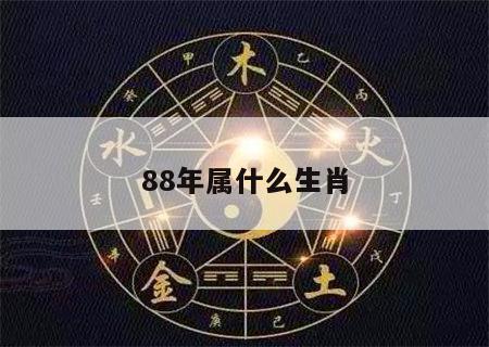 88年属什么生肖