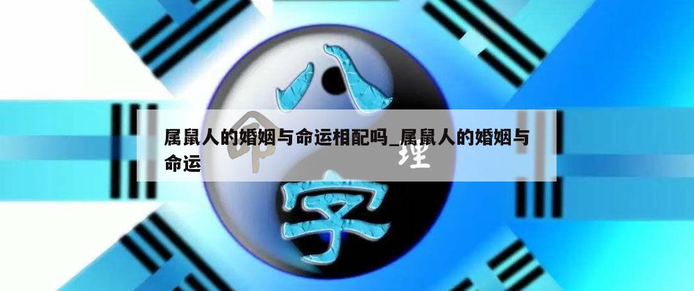 属鼠人的婚姻与命运相配吗_属鼠人的婚姻与命运