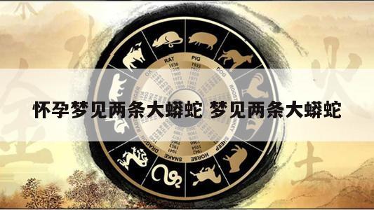 怀孕梦见两条大蟒蛇 梦见两条大蟒蛇