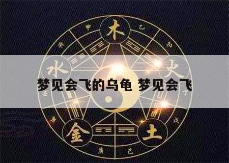 梦见会飞的乌龟 梦见会飞