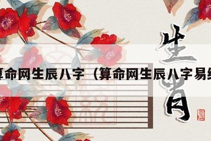  算命网生辰八字（算命网生辰八字易经）
