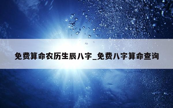 免费算命农历生辰八字_免费八字算命查询