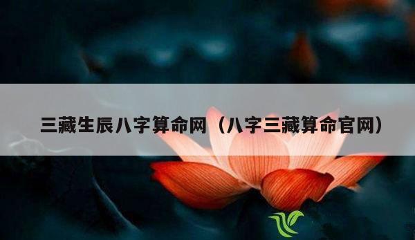  三藏生辰八字算命网（八字三藏算命官网）