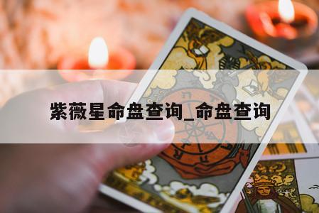 紫薇星命盘查询_命盘查询