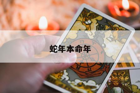蛇年本命年