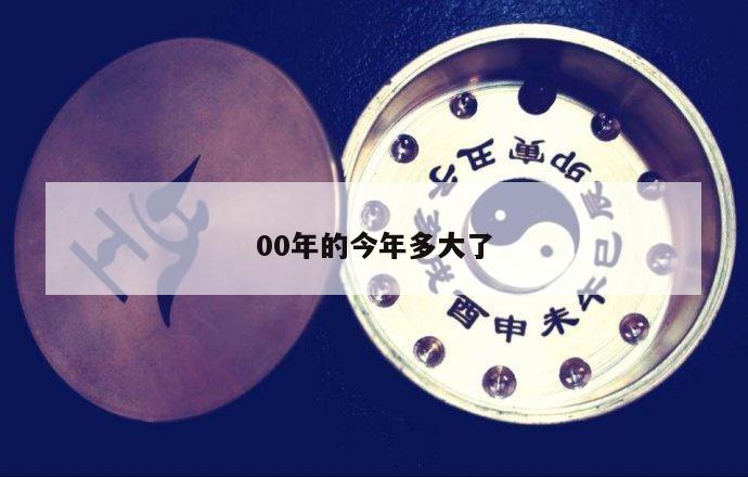 00年的今年多大了