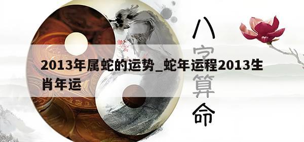 2013年属蛇的运势_蛇年运程2013生肖年运