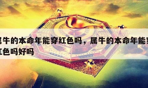 属牛的本命年能穿红色吗，属牛的本命年能穿红色吗好吗