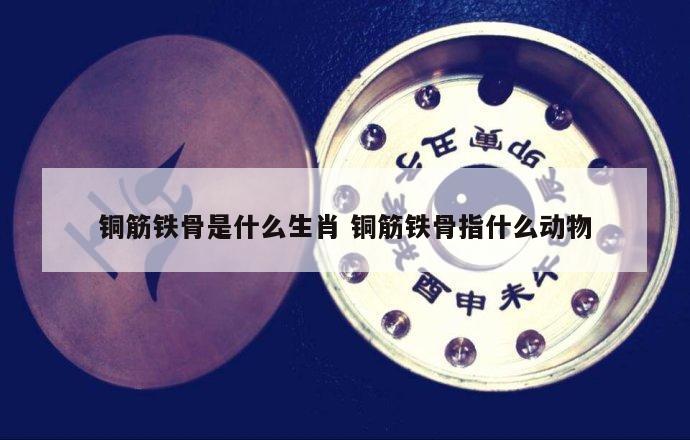 铜筋铁骨是什么生肖 铜筋铁骨指什么动物