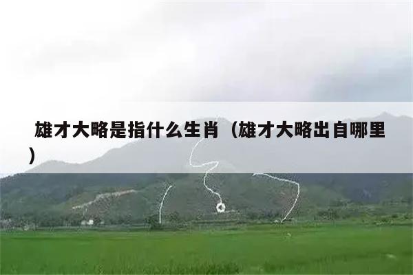  雄才大略是指什么生肖（雄才大略出自哪里）