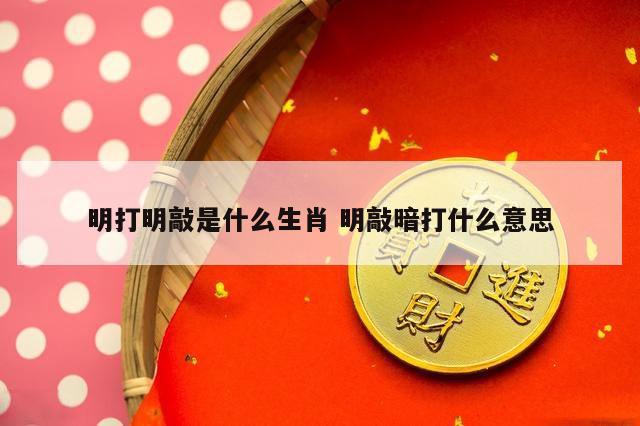 明打明敲是什么生肖 明敲暗打什么意思
