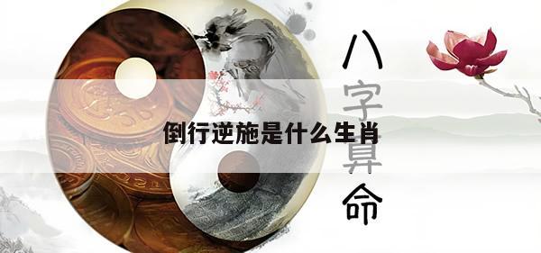 倒行逆施是什么生肖