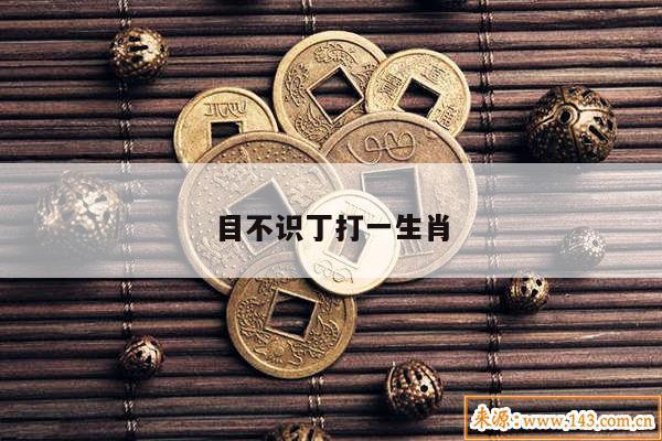 目不识丁打一生肖