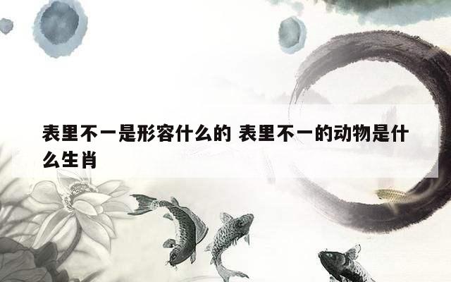 表里不一是形容什么的 表里不一的动物是什么生肖