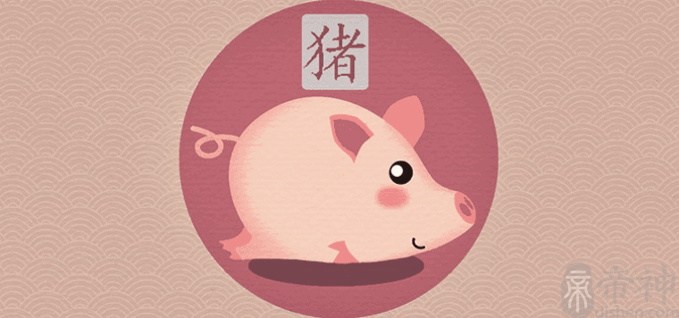 关于猪鼠年大瘟疫预言的信息
